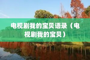 电视剧我的宝贝语录（电视剧我的宝贝）