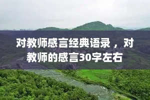 对教师感言经典语录 ，对教师的感言30字左右